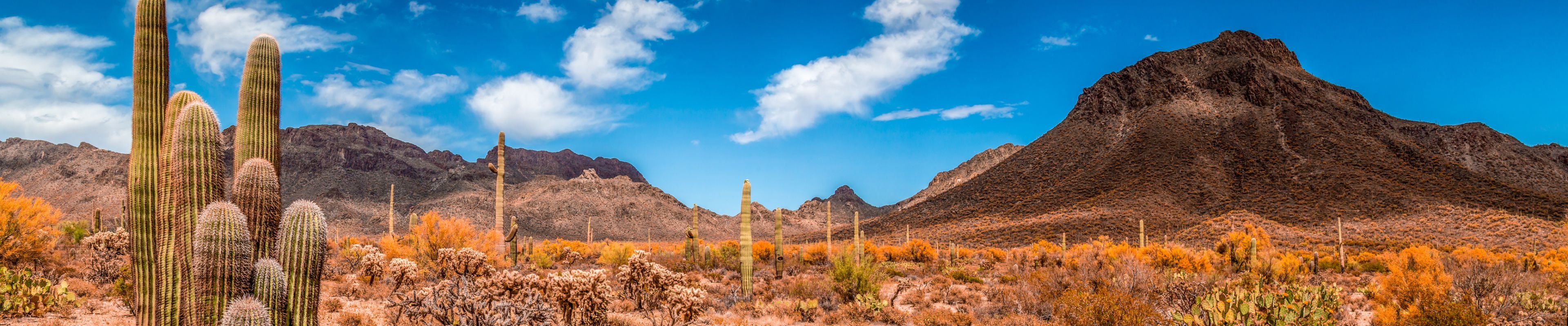 Scenic photo of Mesa, AZ