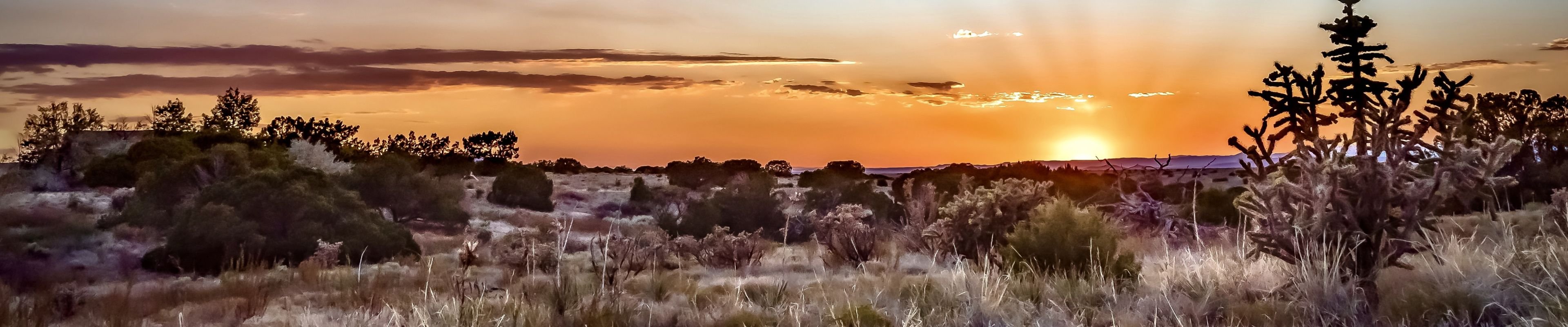 Scenic photo of Carlsbad, NM