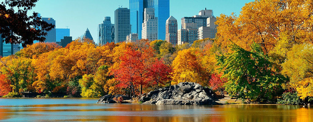 Fall foliage in New York, NY, a city served by Trailways bus service and charter bus rentals