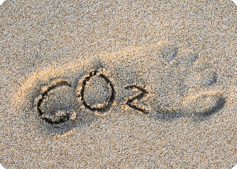 A photo of a foot print in the sand with CO2 written over it.